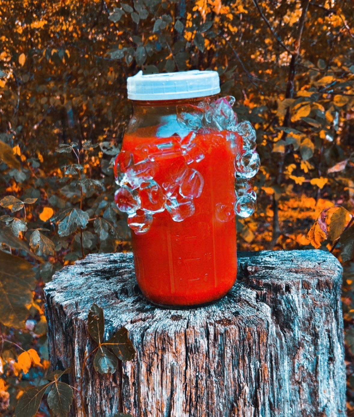 Melon Punch